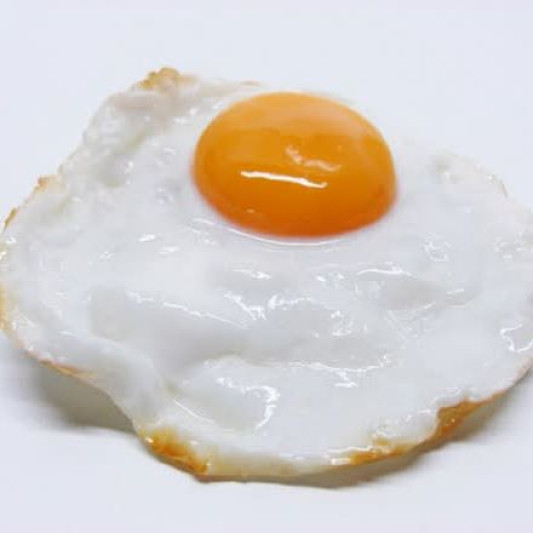 Fried Egg 계란후라이