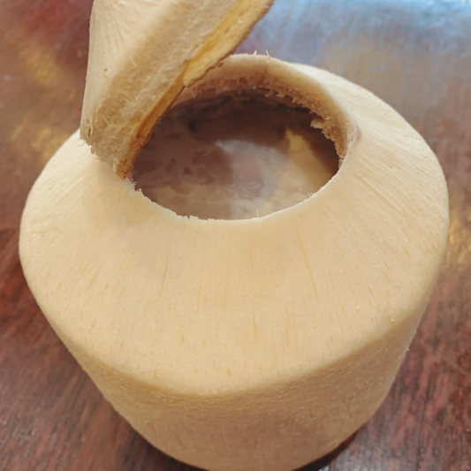 Fresh Young Coconut 椰青