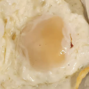 Egg