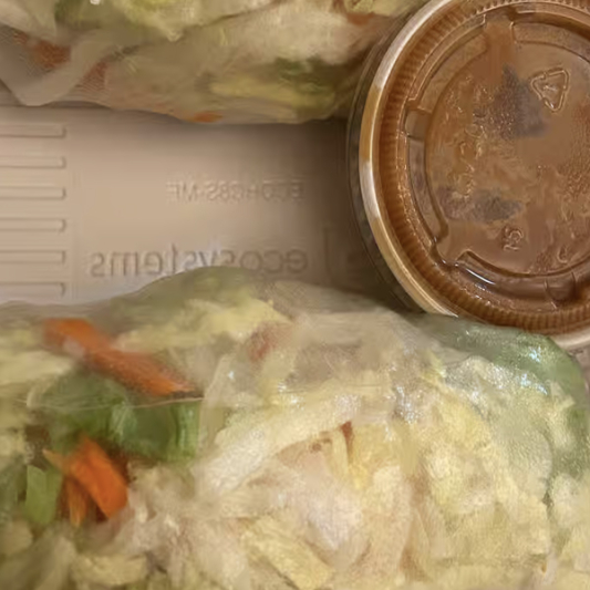 Tofu Spring Rolls (2 pcs)
