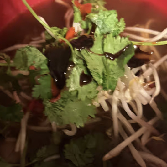 P6. Brisket and Flank Pho