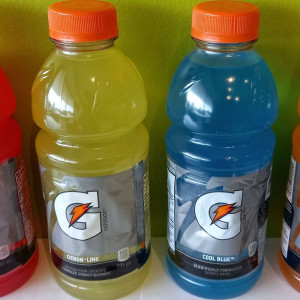 Gatorade (591 ml)