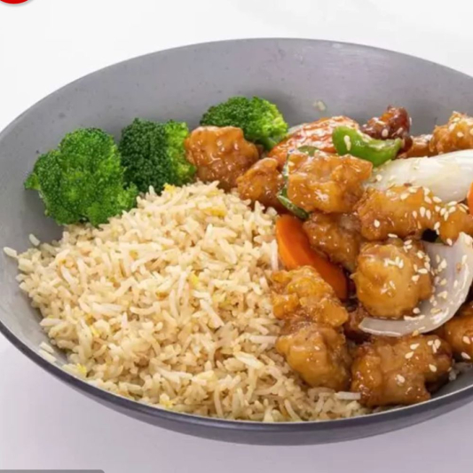 Honey Garlic Chicken with Fried Rice 
