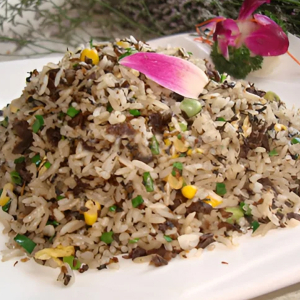 A27. Diced Duck & Preserved Vegetable Fried Rice / 梅菜鴨粒炒飯