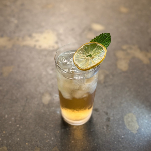 Green Plum Refresher 청매실 리프레셔