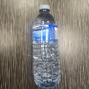 Bottle of Water (500 ml)