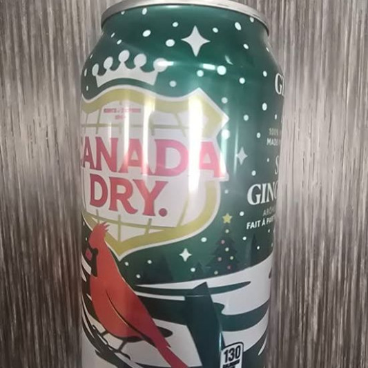 Ginger Ale (355 ml)