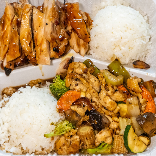 Chicken Teriyaki & Garlic Chicken