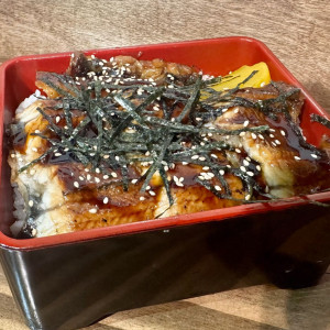 Unagi Don