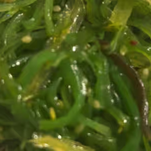 16. Seaweed Salad