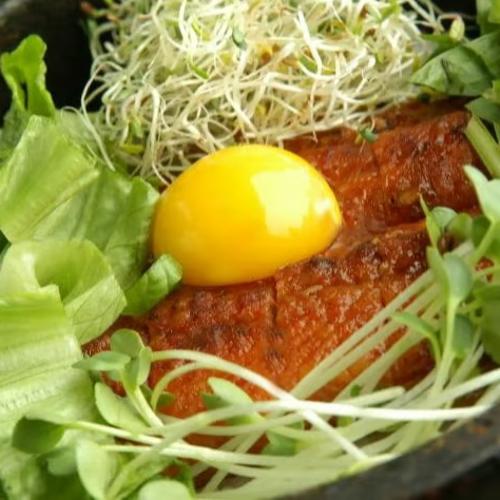 Bulgogi Bibimbab
