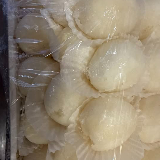 Rasgulla (1 lb)