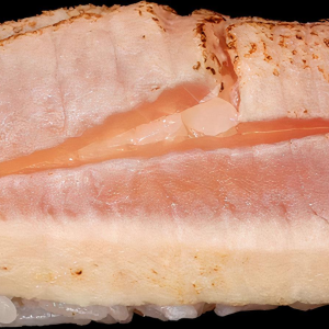 Albacore Tuna Sushi (2 pcs)