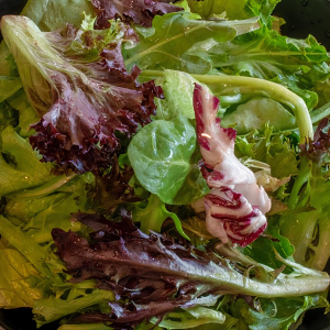 Garden Salad