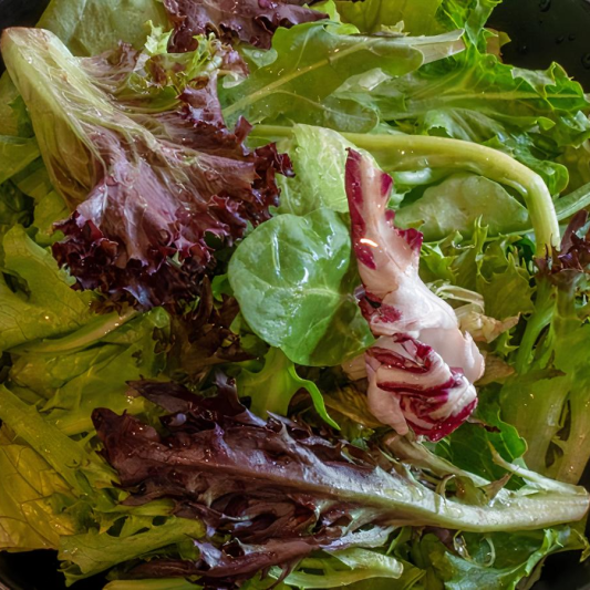 Garden Salad