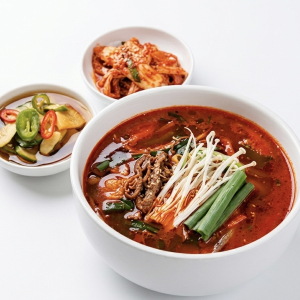 Spicy Beef and Vegetable Soup (육개장)