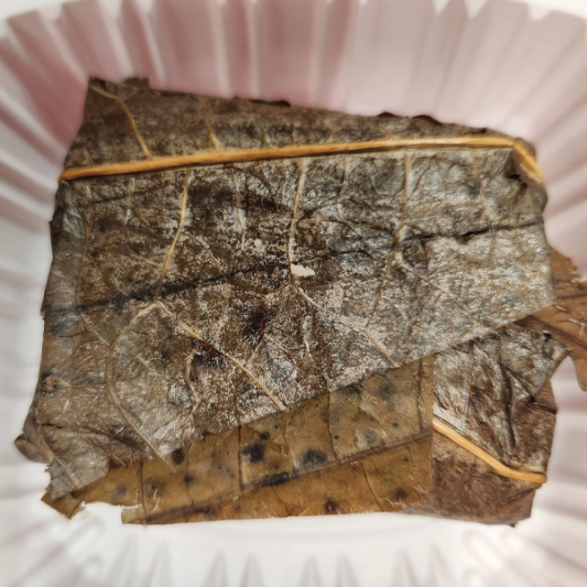 Glutinous Rice Wrapped in Lotus Leaf 糯米雞