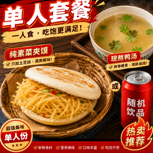 Vegetarian Dish in Flatbread with Duck Soup or Soft Drink