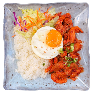 Bulgogi Rice Bowl