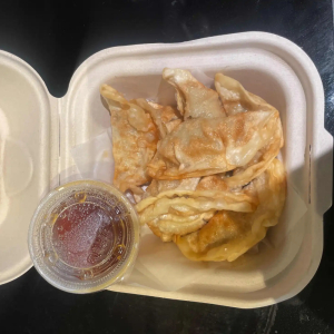 18. Gyoza (8 pcs)