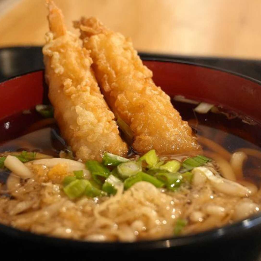 Vegetable Udon