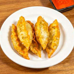 Q14. Chicken Fried Dumplings (4 pcs) 鸡肉水饺 (4 件)