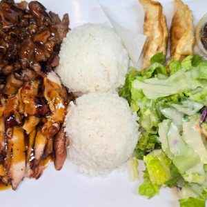 Chicken and Beef Teriyaki & Gyoza (2 pcs)