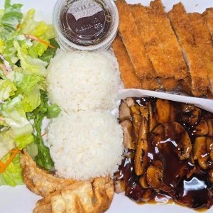 Chicken and Chicken Katsu Teriyaki & Gyoza (2 pcs)