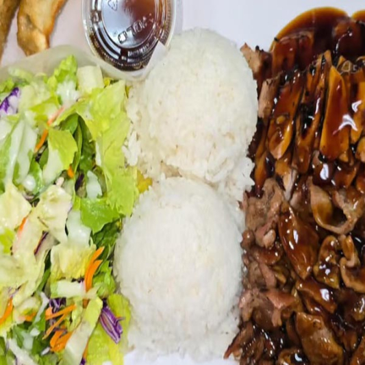 Chicken and Pork Teriyaki & Gyoza (2 pcs)