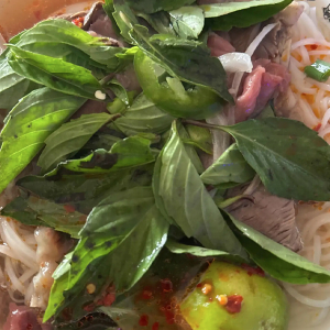 Rare, Well-Cooked Beef Brisket, and Tendon with Rice Noodle Soup