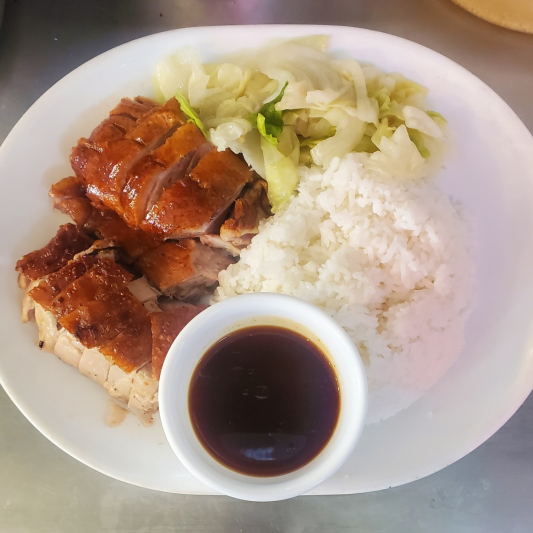 Roast Duck & Roast Pork over Rice 燒鴨燒肉飯