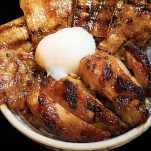 Pork & Chicken Don