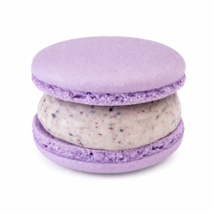 Blueberry Macaron