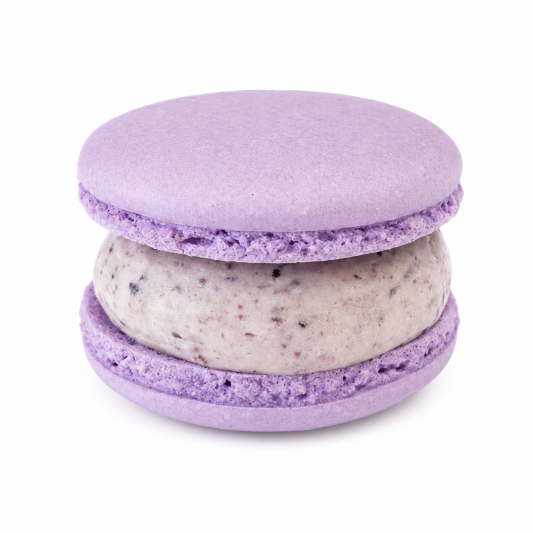 Blueberry Macaron