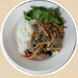 Bulgogi Rice Bowl