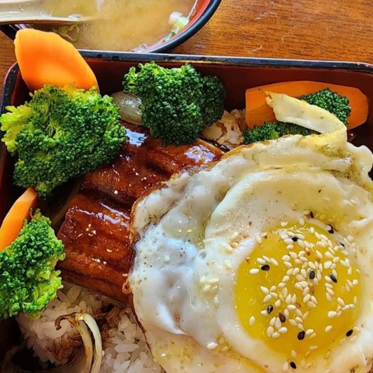 Eel Donburi (Unagi Don)