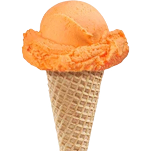 Orange Sherbet Hard Ice Cream