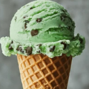 Mint Chocolate Chip Hard Ice Cream