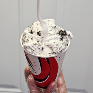 Oreo Blizzard