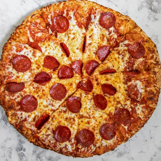 Single Large Pizza Special