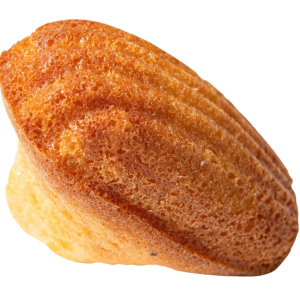 Vanilla Madeleine