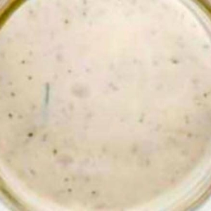 Greek Salad Dressing