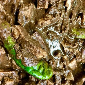 Dinuguan