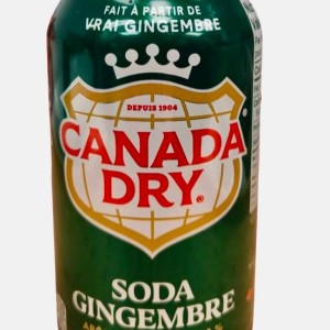 Ginger Ale (355 ml)