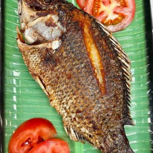 Fish