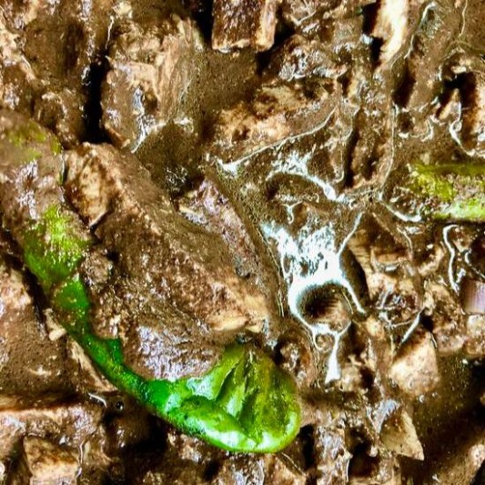 Dinuguan
