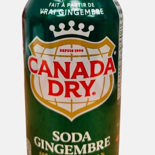 Ginger Ale (355 ml)
